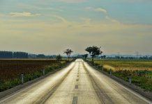 Zrównoważony transport – jak powinien działać?